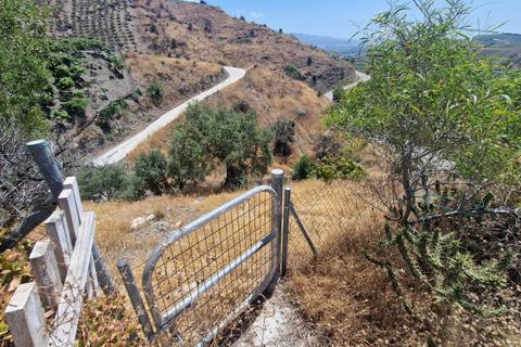 Landejendom i Almachar, Malaga, Almachar - € 220.000 | Ref: AX1448 - foto 29